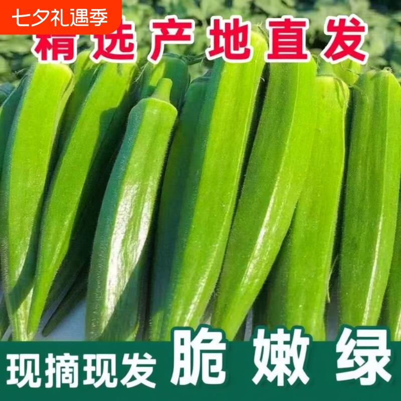 【产地直发】秋葵新鲜山东秋葵当季蔬菜羊角豆水果秋葵鲜嫩秋葵
