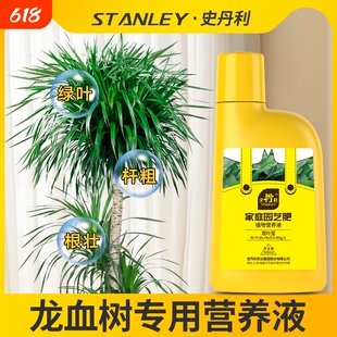 史丹利龙血树专用营养液龙须树黄叶怎么养客厅绿植通用型肥料养花