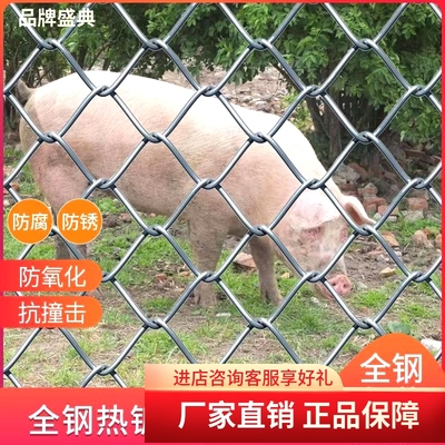 鸡狗牛羊养殖网钢丝防锈防护网