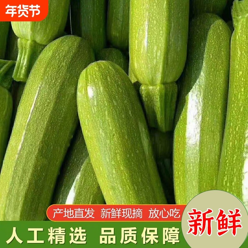 云南新鲜西葫芦瓜鲜小角瓜烧烤食材蔬菜三月瓜番瓜茭瓜小瓜现摘,水产肉类/新鲜蔬果/熟食,西葫芦,淘宝优惠券,粉丝福利购,淘宝优惠卷