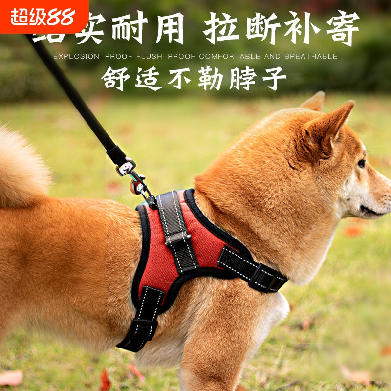 狗狗背心式牵引绳|超4000次加购