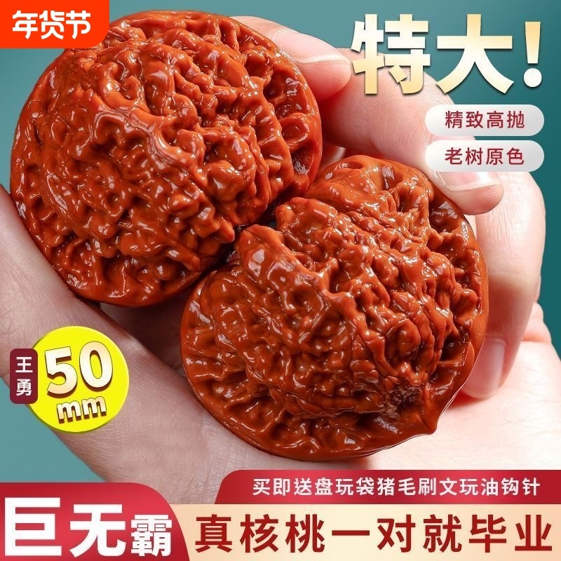 文玩核桃麒麟纹官帽野生核桃50-55盘玩白茬矮桩王勇