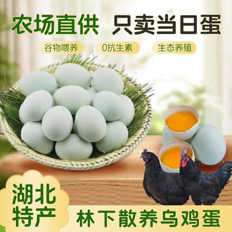 正宗农家散养土鸡蛋湖北大别山谷物鲜蛋孕妇老人精选绿壳乌鸡蛋,水产肉类/新鲜蔬果/熟食,鸡蛋,淘宝优惠券,粉丝福利购,淘宝优惠卷
