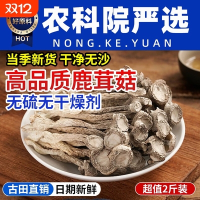 鹿茸菇正品官方旗舰店干货特级福建古田特产香菇蘑菇新鲜脆菇菌菇