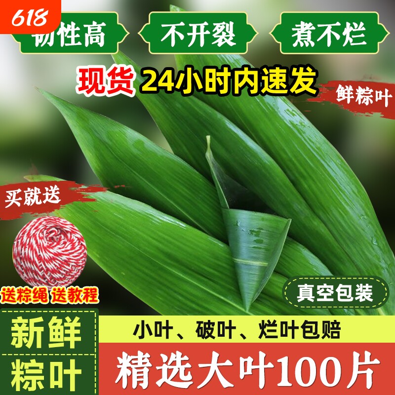 粽叶新鲜芦苇叶农家现摘野生大粽叶端午节包粽子清香芦苇叶真空装