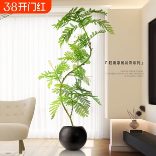 仿真绿植蓝花楹高级感室内客厅阳台装饰假树盆栽落地摆件仿生植物