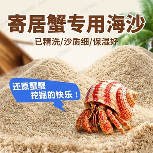 寄居蟹专用海沙蟹养螃蟹天然垫料珊瑚沙子贝壳沙鱼缸造景底部砂石