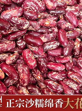 紫花芸豆大粒新货农家饭豆