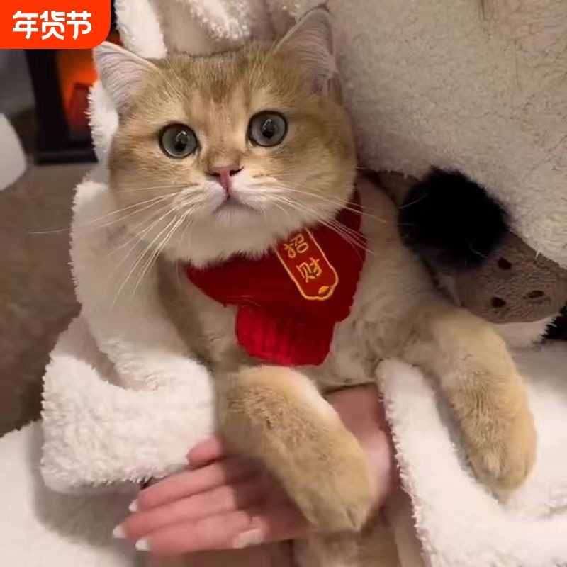 猫咪围巾围脖新年宠物红色保暖口水巾围兜狗狗装饰品过年冬季,宠物/宠物食品及用品,围巾/口水巾,淘宝优惠券,粉丝福利购,淘宝优惠卷