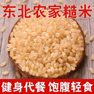 新米五常糙米5斤东北农家糙大米玄米粗粮糙米五谷杂粮胚芽饭