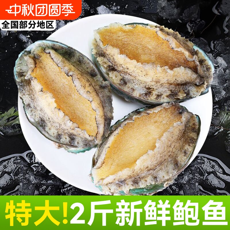 新鲜特大鲍鱼肉【顺丰闪送】图片