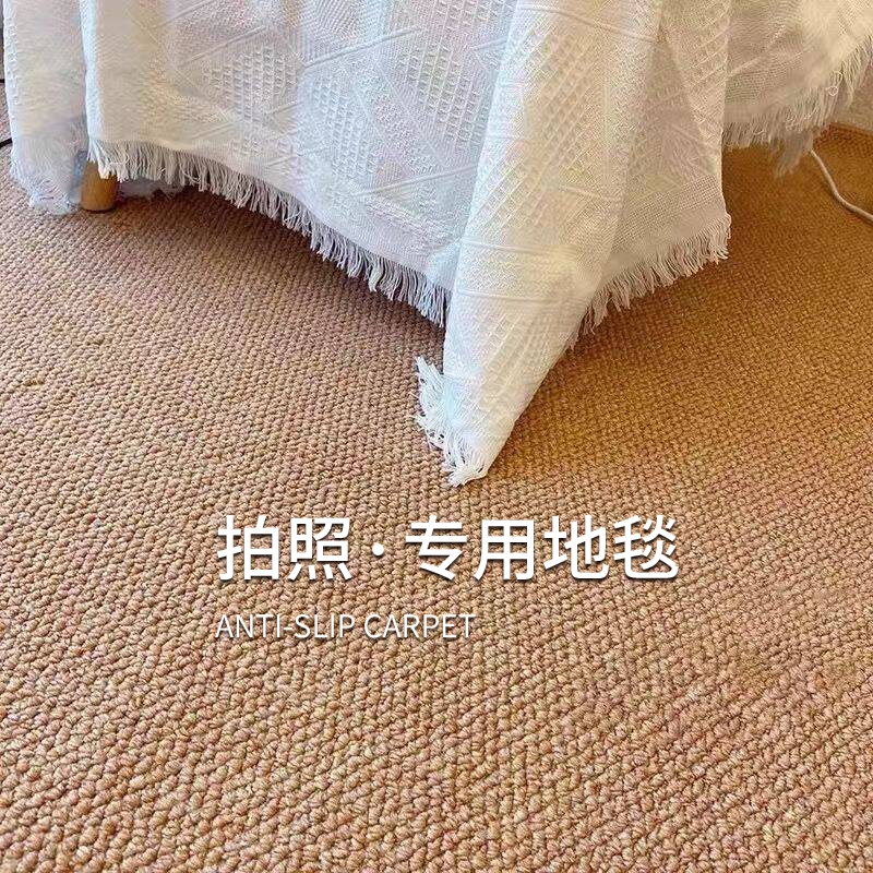 耐抓耐磨大尺寸客厅地毯清洗方便