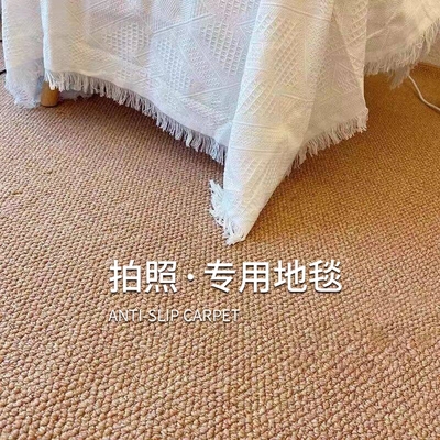 耐抓耐磨大尺寸客厅地毯清洗方便