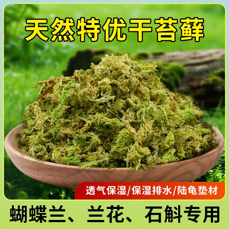 水苔蝴蝶兰专用水苔蝴蝶兰专用营养土青苔干苔藓兰花专用植料爬宠