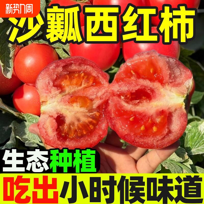 现摘四川新鲜水果农家西红柿自然熟新鲜普罗旺斯沙瓤大番茄