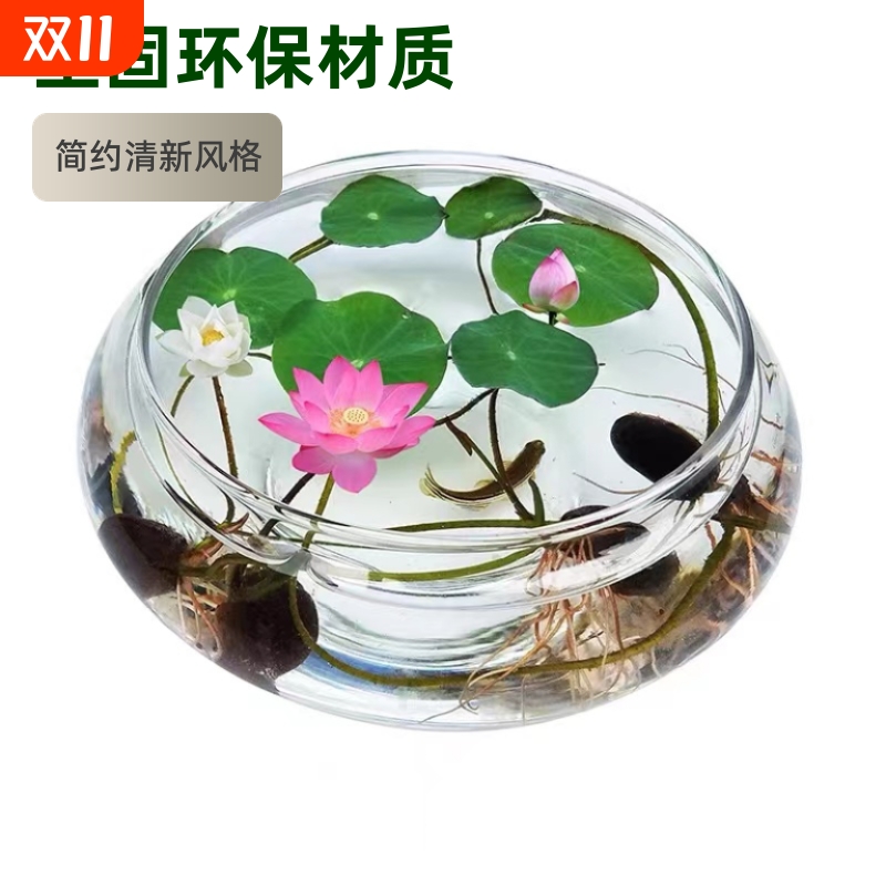 水培玻璃花瓶透明水仙盆碗莲盆睡莲花盆乌龟鱼缸水养植物器皿桌面