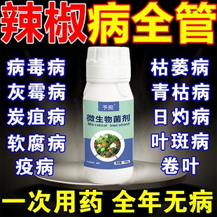 辣椒病毒病专用卷叶黄叶病炭疽灰霉疫病根腐病清病害全治微生物