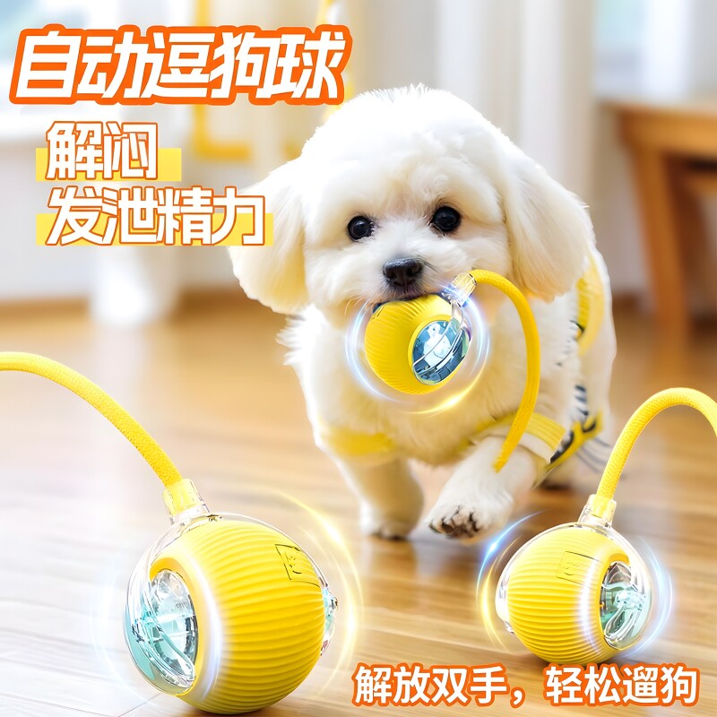 宠物玩具小猫智能逗猫球逗狗球自嗨解闷小狗自动躲避宠物猫狗玩具