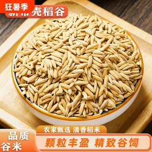 2025年稻谷带壳喂鸡鸭鸽粮饲料批发谷子水稻子喂鸡鸭鹅鸟杂粮粮食