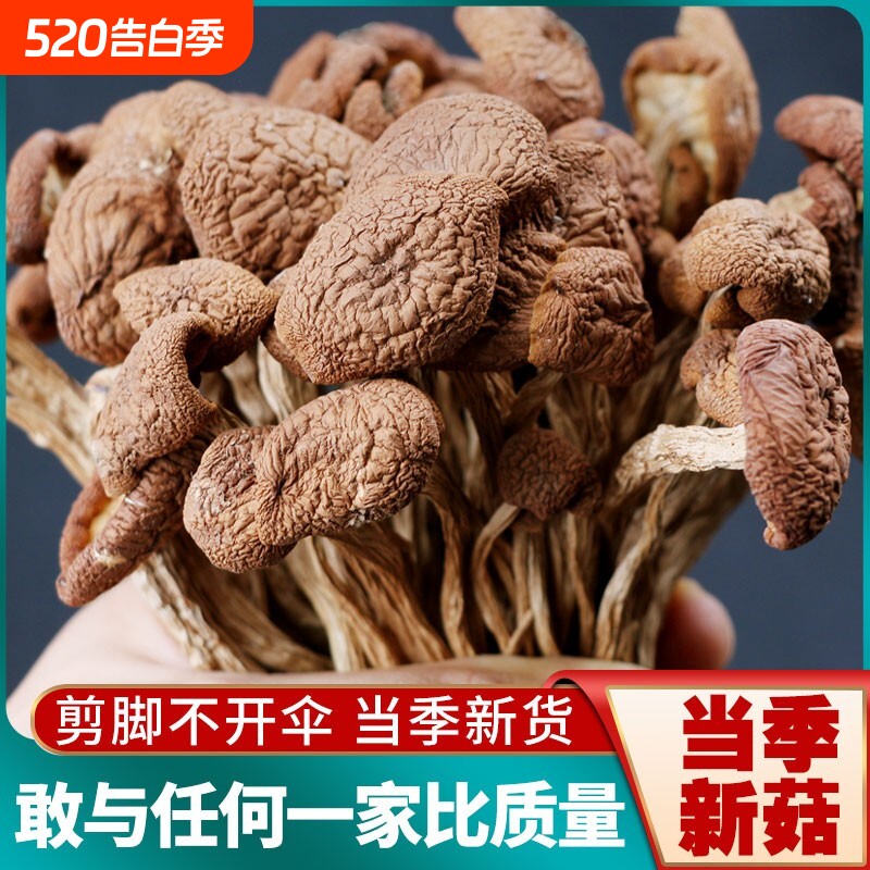 2024古田农家茶树菇干货甄选不开伞切根新鲜香菇蘑菇250g新货