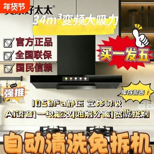 双腔油烟机欧式大吸力抽油烟机家用厨房顶吸油烟机壁挂式公寓