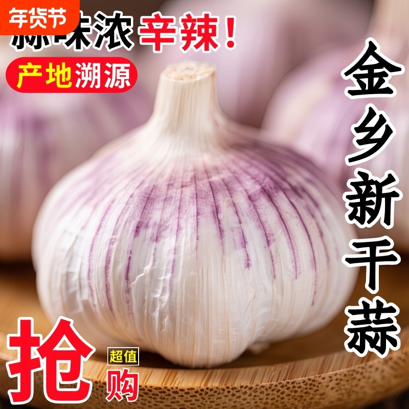 【天天抢购】山东紫皮大蒜新干蒜大蒜批发大蒜种子蒜特大蒜头蔬菜