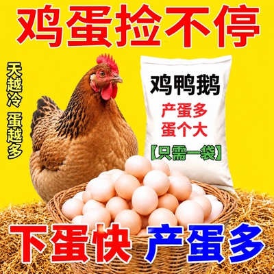 鸡下蛋专用蛋多多鸡鸭鹅禽用增蛋宝下蛋饲料鸽子产蛋灵增蛋素增产