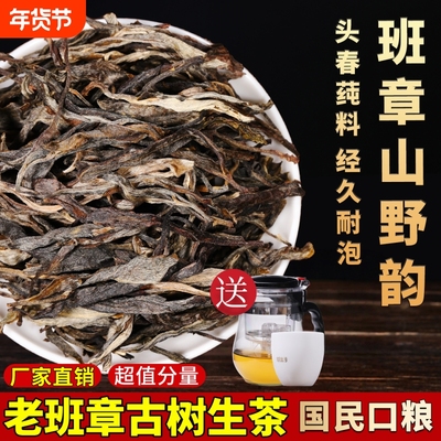 老班章头春茶实惠口粮装