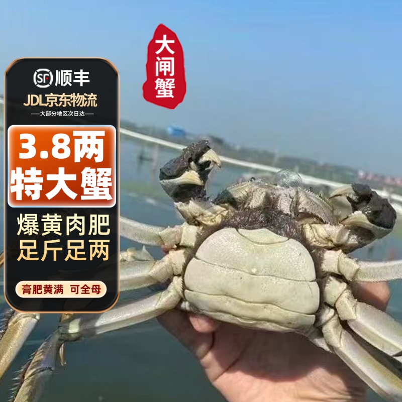 【活蟹】苏州大闸蟹全母公鲜活超特大螃蟹河蟹3.8两10只海鲜礼盒