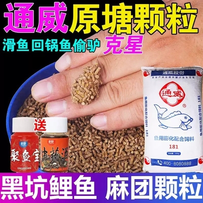 通威原塘麻团颗粒黑坑专用鲤鱼打窝饲料钓鱼青鱼秒粘小黄面鱼饵料