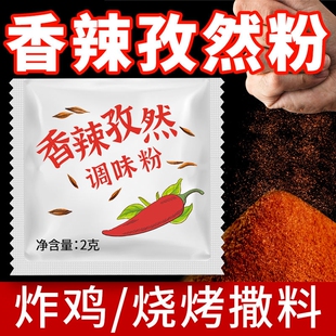 香辣孜然调味粉辣椒粉粉2g孜然撒料商用价外卖汉堡组烧烤烤肉炸鸡