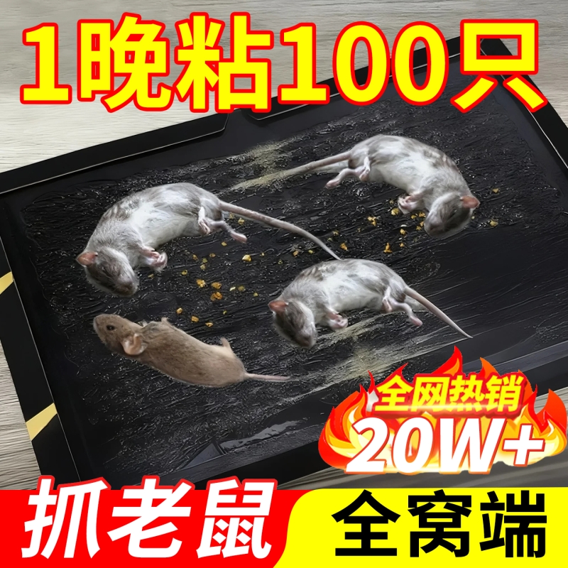 超强力粘鼠板捉粘大老鼠贴沾胶抓灭鼠捕鼠神器超强正品家用一窝端