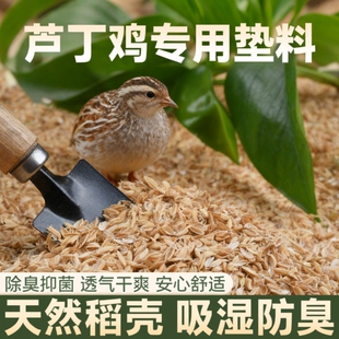 芦丁鸡稻壳垫料专用柯尔鸭发酵床鹌鹑小宠除臭无尘专用垫料谷壳