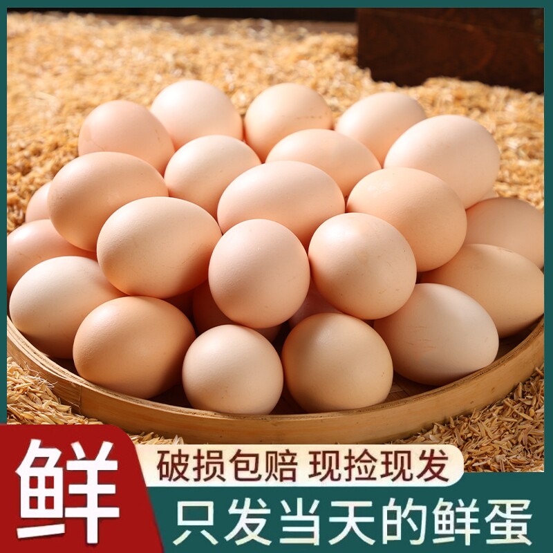农家土鸡蛋30枚粉壳鸡蛋散养谷物柴鸡蛋50枚初生蛋新鲜优选源头