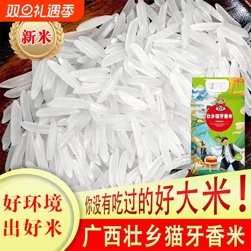正宗猫牙香米大米2025年丝苗米农家新米象牙米长粒香真空一级籼米