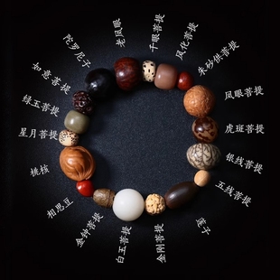 菩提子手串天然多宝珠原籽十八子文玩配饰星月手链男女朱砂白玉