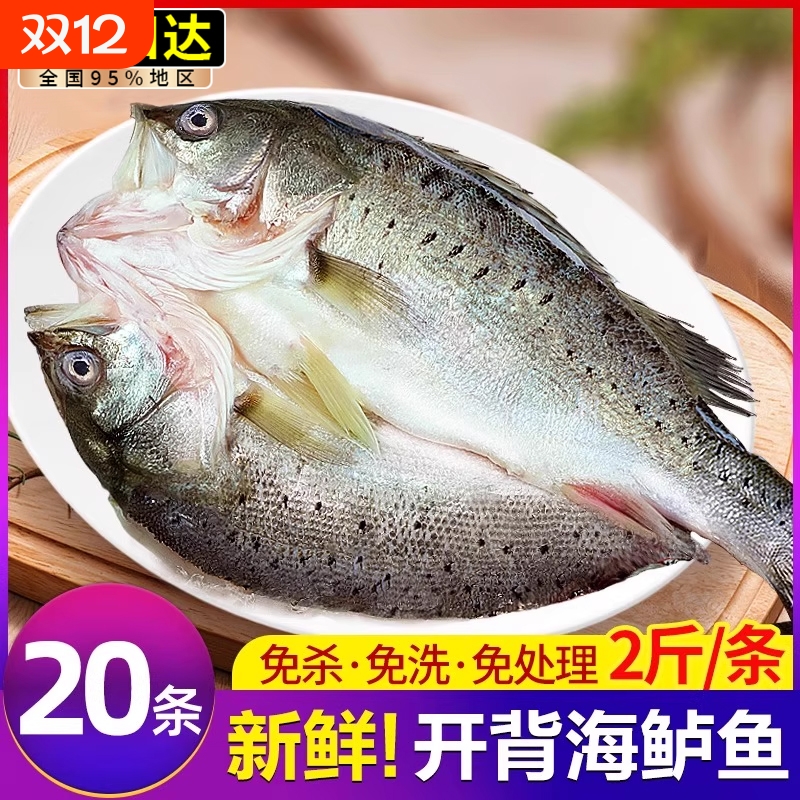 海鲈鱼开背新鲜冷冻鲜活深海