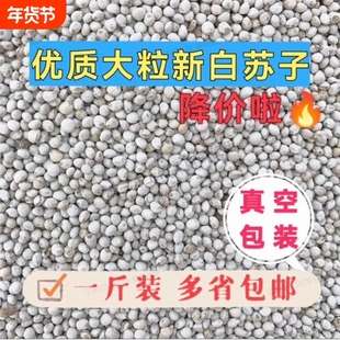 新白苏子紫苏子混合苏籽 东北花苏子鸟粮 玉鸟丝雀黄鸟苏鸟鹦鹉