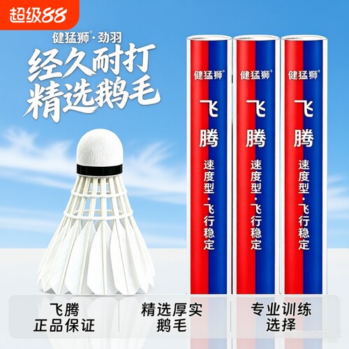 羽毛球无标室内外练习比赛训练休闲娱乐鹅毛球俱乐部用球12只装