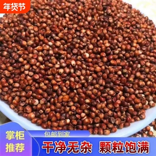 新红高梁农家带皮高粱去壳高粱米10斤酿酒新高粱喂鸽子鸽粮