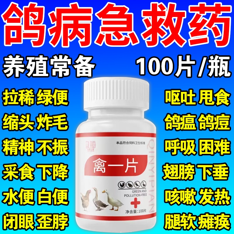 鸽子专用药大全呼吸道常见拉稀水便新城疫鸽瘟歪脖抗毒鹦鹉百病消