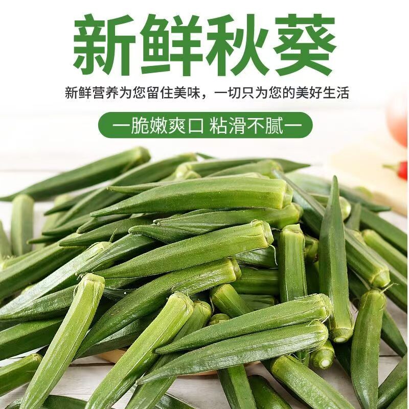 新鲜秋葵山东秋葵当季蔬菜水果秋葵农家批发现摘现发可凉拌旗舰店