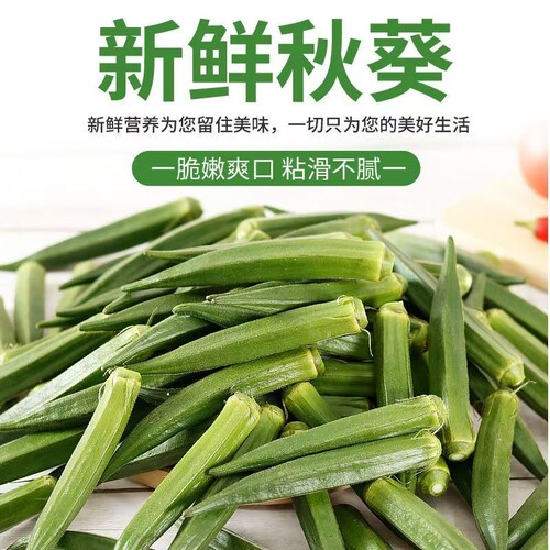 新鲜秋葵山东秋葵当季蔬菜水果秋葵农家批发现摘现发可凉拌旗舰店