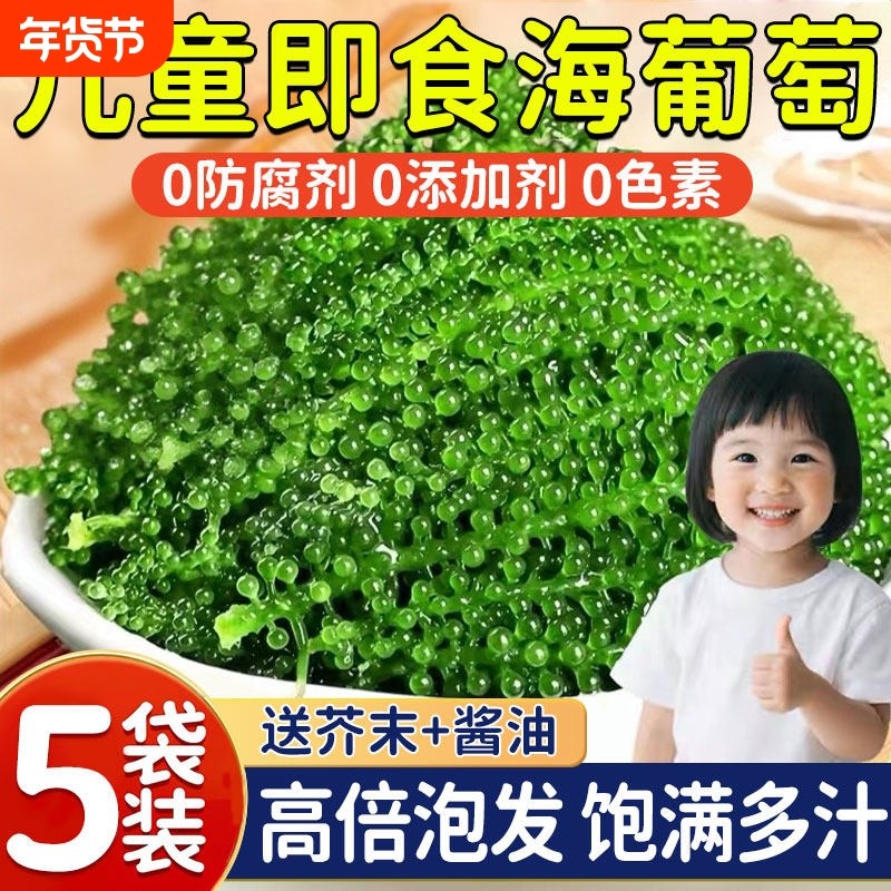 盐渍即食海葡萄新鲜海草海藻海带零食压缩凉拌菜儿童营养健康小吃,零食/坚果/特产,海带零食,淘宝优惠券,粉丝福利购,淘宝优惠卷