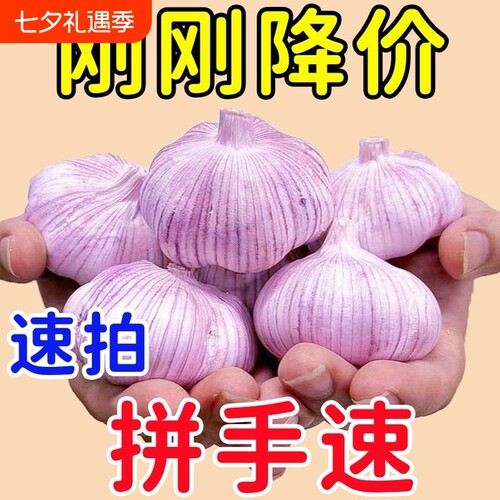 金乡大蒜新鲜干大蒜2024当季蔬菜批发紫皮特大糖醋种植自种优质