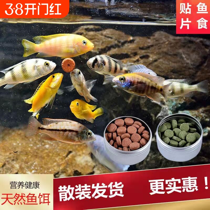 贴片鱼饲料鱼食小型孔雀鱼鱼粮灯鱼斗鱼金鱼热带鱼通用开口丰年虾