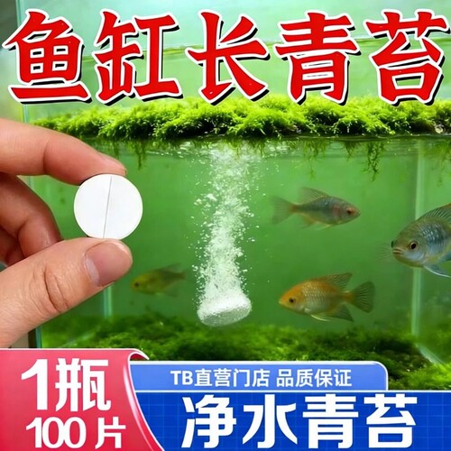 鱼缸除藻去苔剂鱼池强效鱼缸壁清除绿藻褐丝藻黑毛藻神器青苔净水