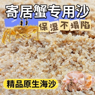 寄居蟹专用海沙辣椒蟹螃蟹用品椰土垫材饲养套餐免洗鱼缸造景底砂
