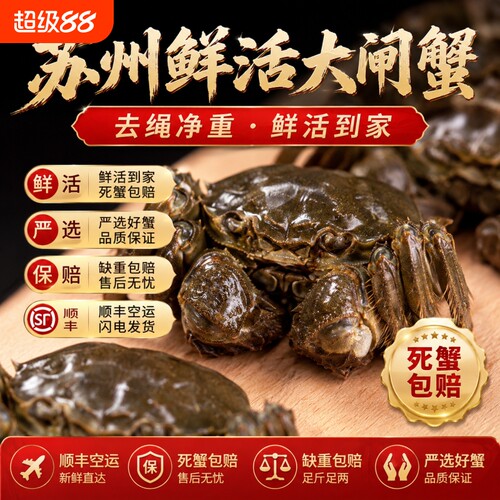 苏州特产螃蟹鲜活大闸蟹公可全母3.5两去绳顺丰中秋8只礼盒装水产