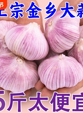 大蒜【十足干算】2025年紫白皮新鲜头红皮优质蒜子便宜
